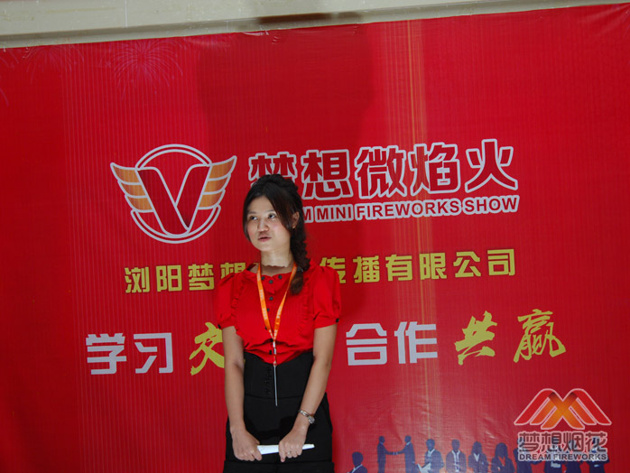 晚晏美女主持