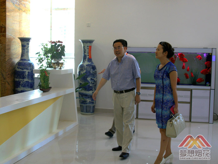 湖南省文化厅文化产业处杨仲跃处长视察梦想烟花公司