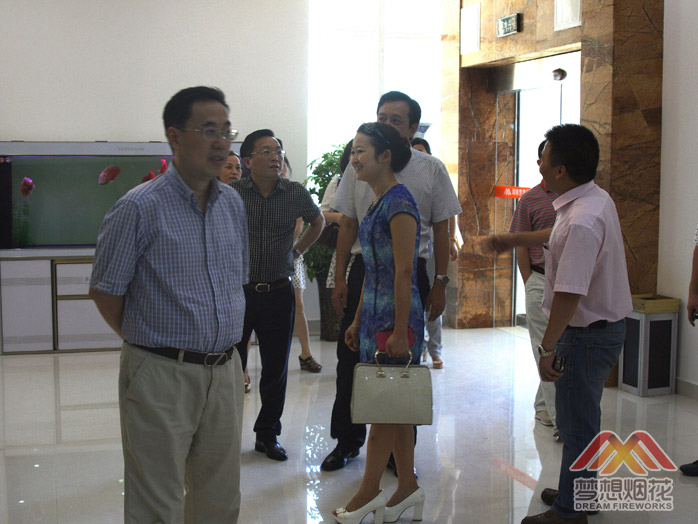 公司董事长贺建武向各位领导介绍梦想公司情况