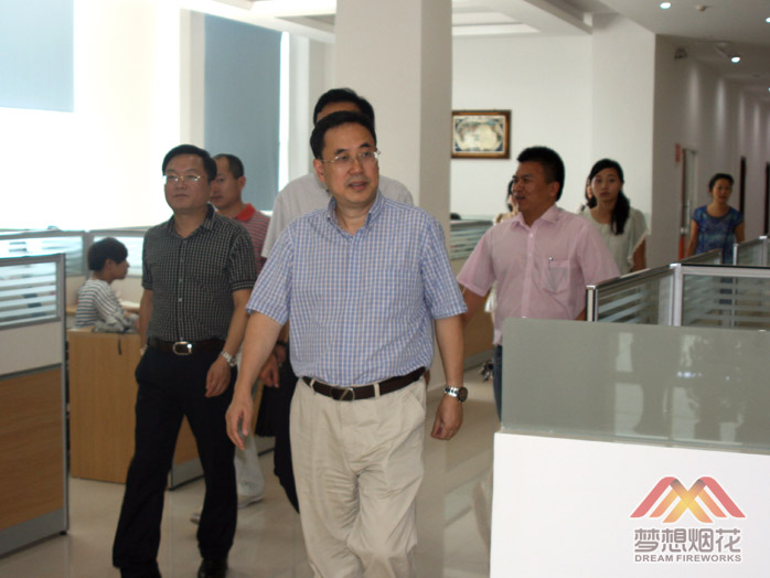 湖南省文化厅文化产业处杨仲跃处长视察梦想烟花公司