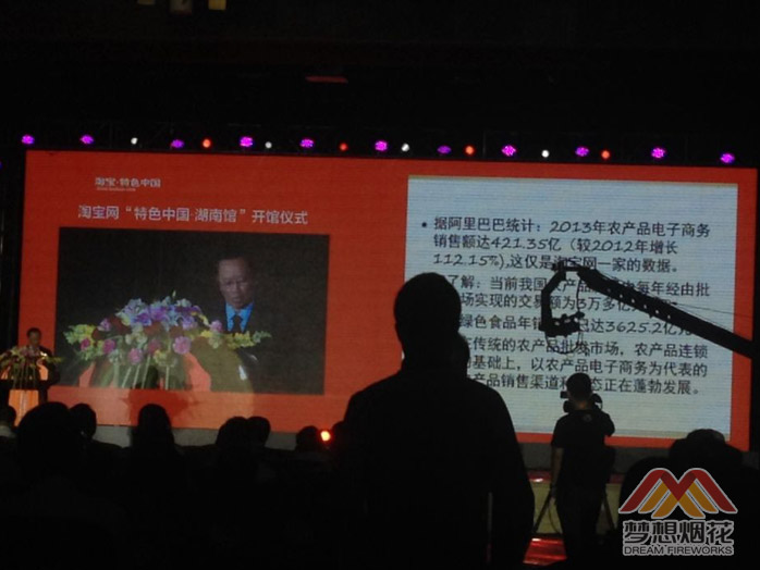 淘宝网"湖南馆"开馆仪式