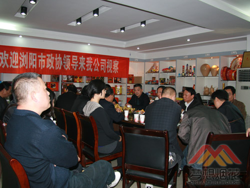 政协委员向我公司提出意见与建议