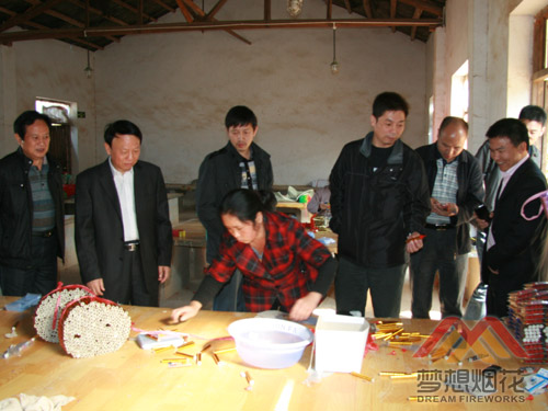 政协委员参观产品的制作工艺
