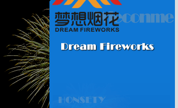 garrywafireworks